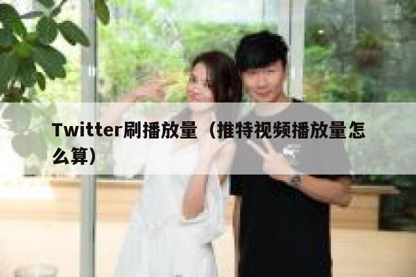 Twitter刷播放量（推特视频播放量怎么算） 第1张
