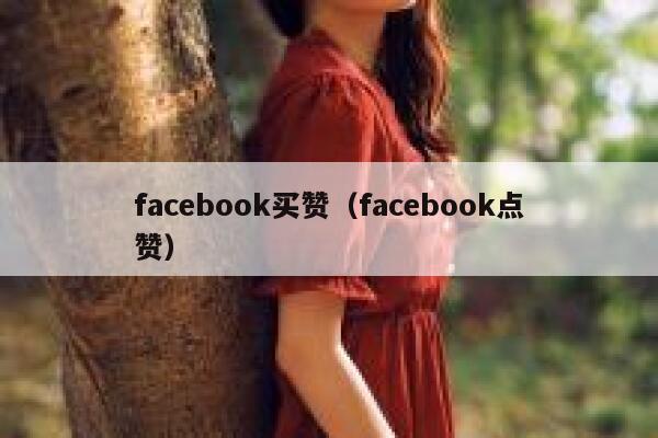 facebook买赞（facebook点赞） 第1张