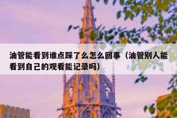 油管能看到谁点踩了么怎么回事（油管别人能看到自己的观看能记录吗） 第1张