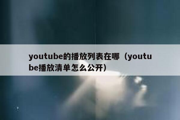 youtube的播放列表在哪（youtube播放清单怎么公开） 第1张