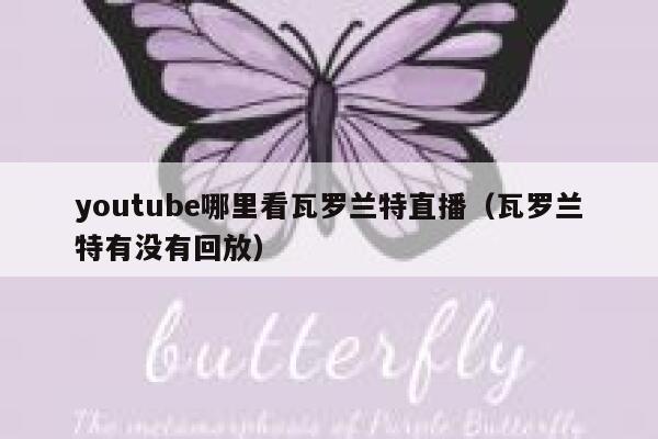 youtube哪里看瓦罗兰特直播（瓦罗兰特有没有回放） 第1张