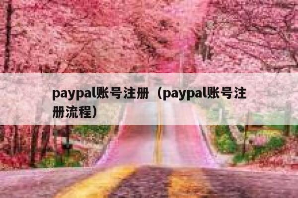 paypal账号注册（paypal账号注册流程） 第1张
