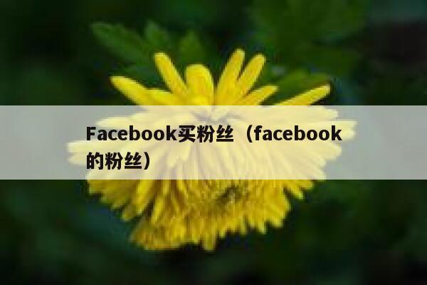 Facebook买粉丝（facebook的粉丝） 第1张
