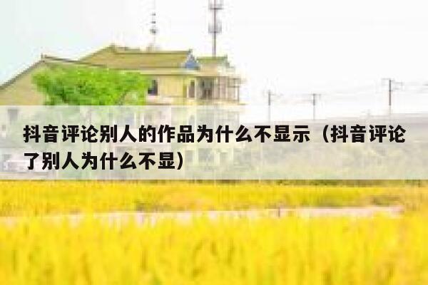 抖音评论别人的作品为什么不显示（抖音评论了别人为什么不显） 第1张