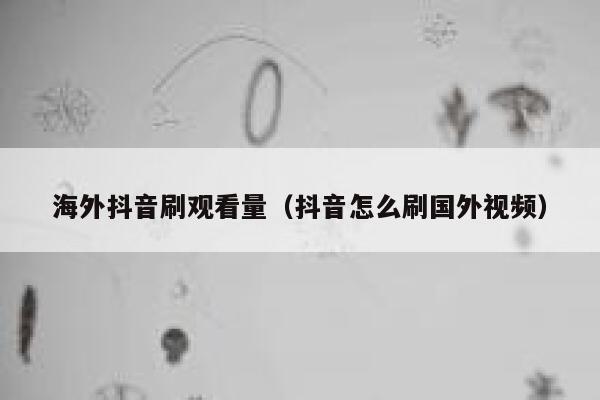 海外抖音刷观看量（抖音怎么刷国外视频） 第1张