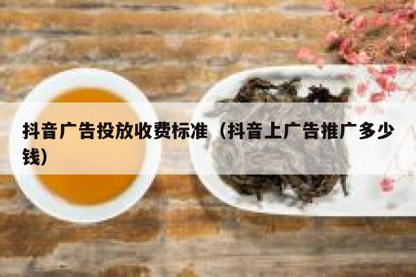 抖音广告投放收费标准（抖音上广告推广多少钱） 第1张