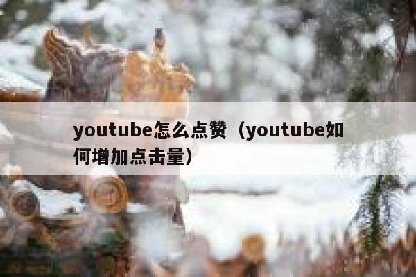 youtube怎么点赞（youtube如何增加点击量） 第1张