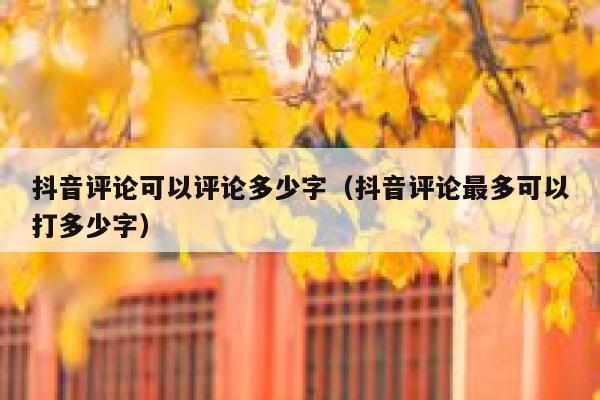 抖音评论可以评论多少字（抖音评论最多可以打多少字） 第1张