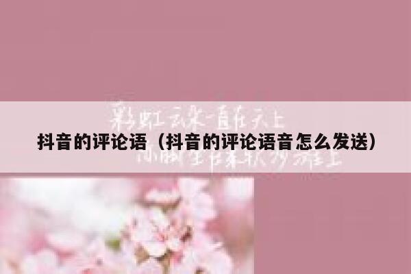 抖音的评论语（抖音的评论语音怎么发送） 第1张