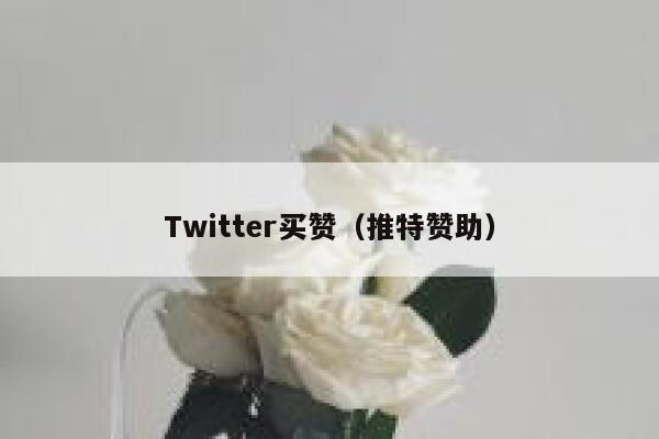 Twitter买赞（推特赞助） 第1张