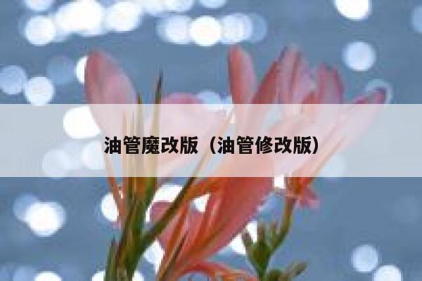 油管魔改版（油管修改版） 第1张