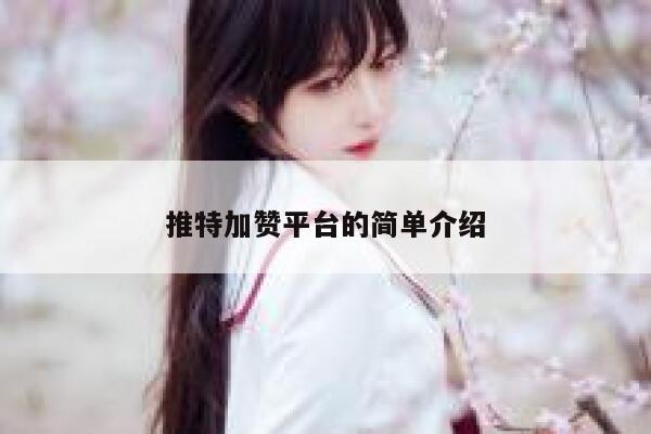 推特加赞平台的简单介绍 第1张