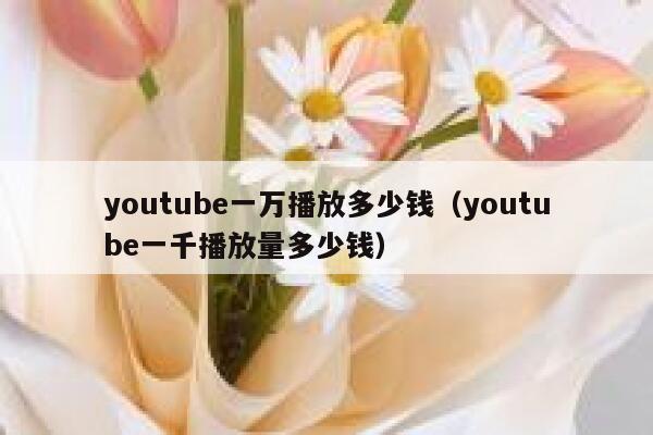youtube一万播放多少钱（youtube一千播放量多少钱） 第1张