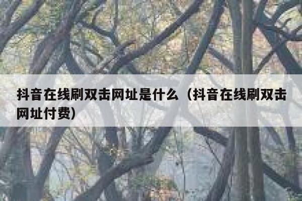 抖音在线刷双击网址是什么（抖音在线刷双击网址付费） 第1张