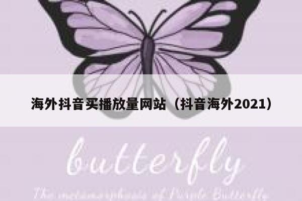 海外抖音买播放量网站（抖音海外2021） 第1张