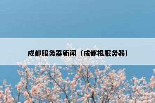 成都服务器新闻（成都根服务器） 第1张