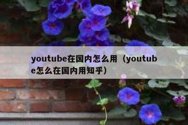 youtube在国内怎么用（youtube怎么在国内用知乎） 第1张