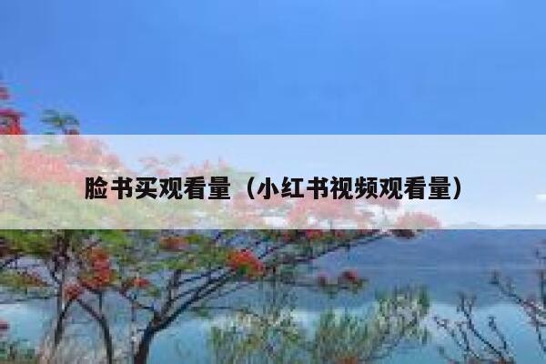 脸书买观看量（小红书视频观看量） 第1张