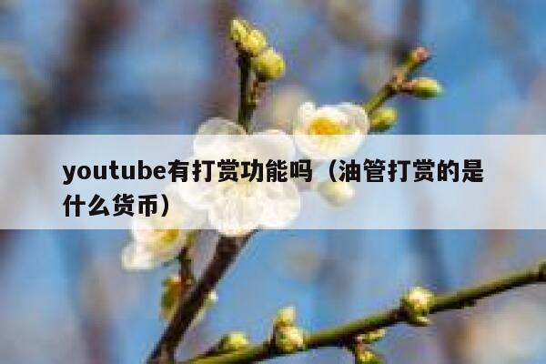 youtube有打赏功能吗（油管打赏的是什么货币） 第1张