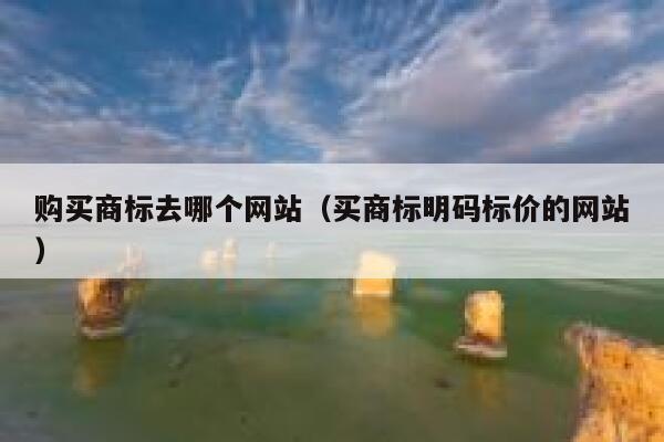 购买商标去哪个网站（买商标明码标价的网站） 第1张