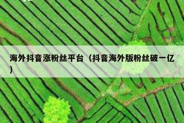 海外抖音涨粉丝平台（抖音海外版粉丝破一亿） 第1张