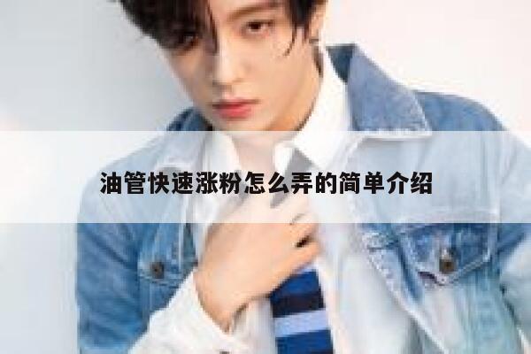 油管快速涨粉怎么弄的简单介绍 第1张