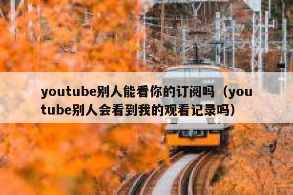 youtube别人能看你的订阅吗（youtube别人会看到我的观看记录吗） 第1张