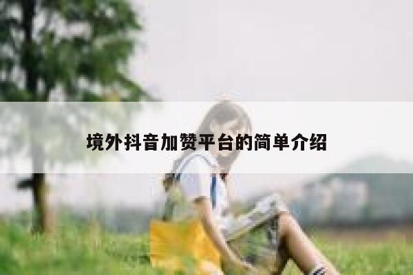 境外抖音加赞平台的简单介绍 第1张