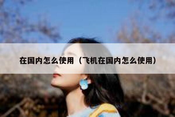 在国内怎么使用（飞机在国内怎么使用） 第1张