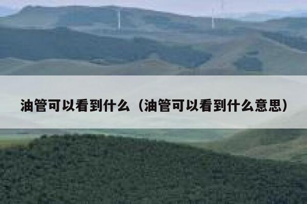 油管可以看到什么（油管可以看到什么意思） 第1张