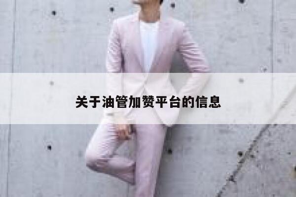 关于油管加赞平台的信息 第1张