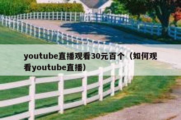 youtube直播观看30元百个（如何观看youtube直播） 第1张