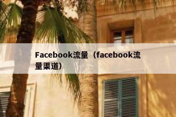 Facebook流量（facebook流量渠道） 第1张