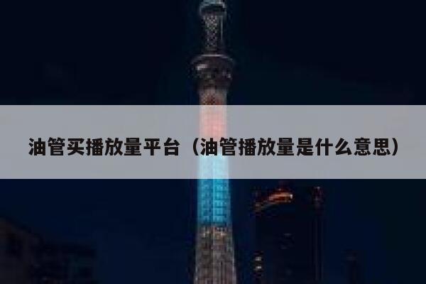 油管买播放量平台（油管播放量是什么意思） 第1张