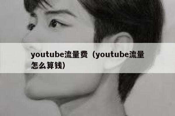 youtube流量费（youtube流量怎么算钱） 第1张