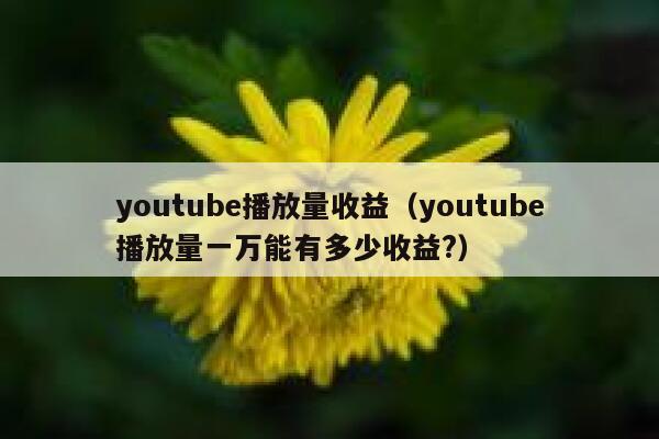 youtube播放量收益（youtube播放量一万能有多少收益?） 第1张