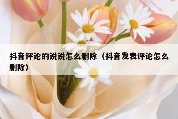 抖音评论的说说怎么删除（抖音发表评论怎么删除） 第1张