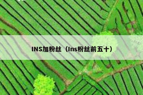 INS加粉丝（Ins粉丝前五十） 第1张