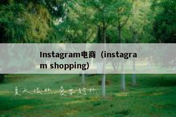 Instagram电商（instagram shopping） 第1张