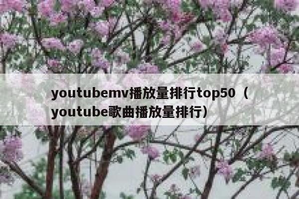 youtubemv播放量排行top50（youtube歌曲播放量排行） 第1张