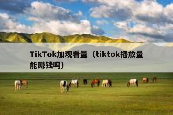 TikTok加观看量（tiktok播放量能赚钱吗） 第1张