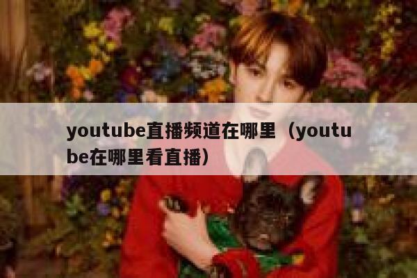 youtube直播频道在哪里（youtube在哪里看直播） 第1张