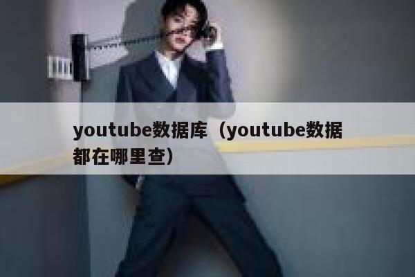 youtube数据库（youtube数据都在哪里查） 第1张