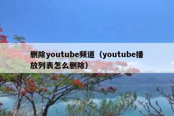 删除youtube频道（youtube播放列表怎么删除） 第1张