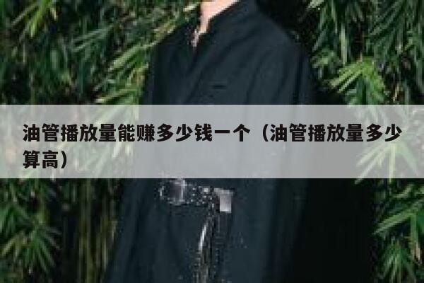 油管播放量能赚多少钱一个（油管播放量多少算高） 第1张