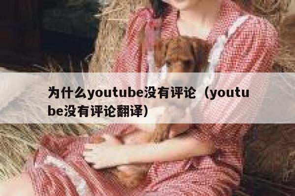 为什么youtube没有评论（youtube没有评论翻译） 第1张