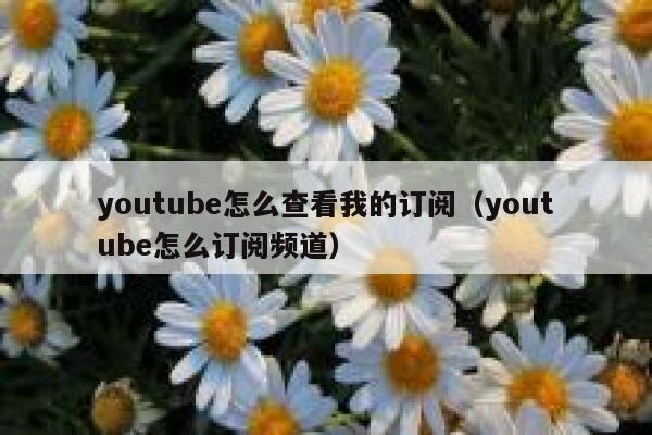 youtube怎么查看我的订阅（youtube怎么订阅频道） 第1张