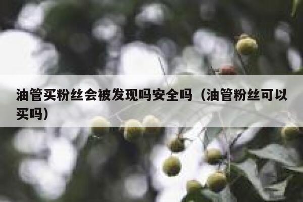 油管买粉丝会被发现吗安全吗（油管粉丝可以买吗） 第1张