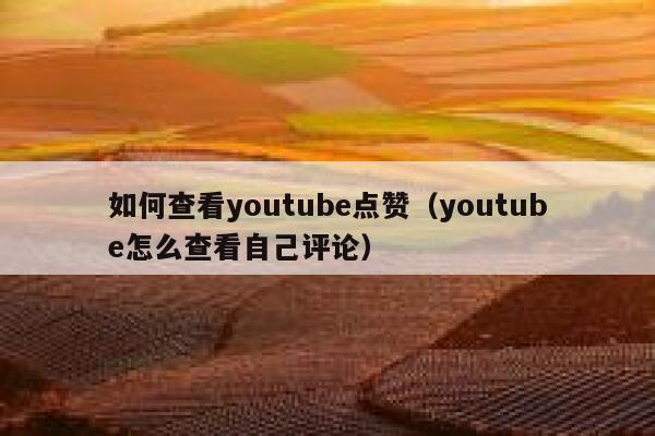 如何查看youtube点赞（youtube怎么查看自己评论） 第1张