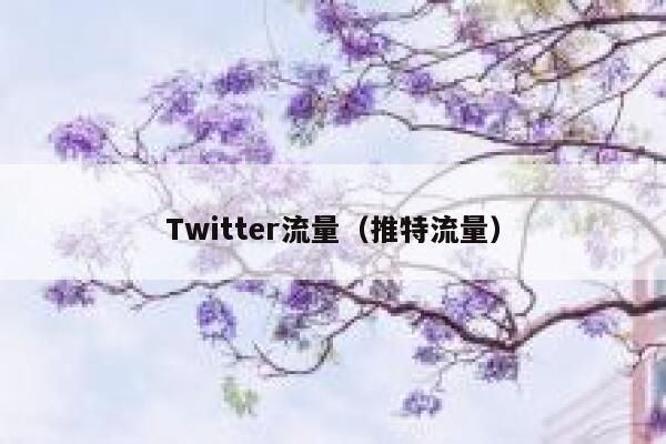 Twitter流量（推特流量） 第1张